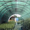 Сетка безопасности рулон 1.9 х 50.0 (м)