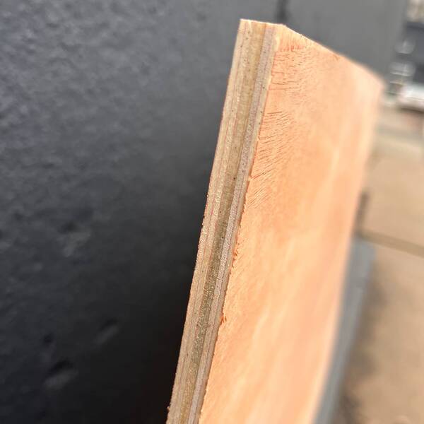 photo 6 2023 12 22 13 58 35