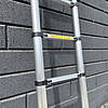 IMG 7934